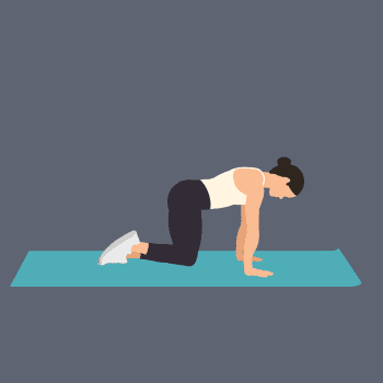 Kneeling Hip Circles